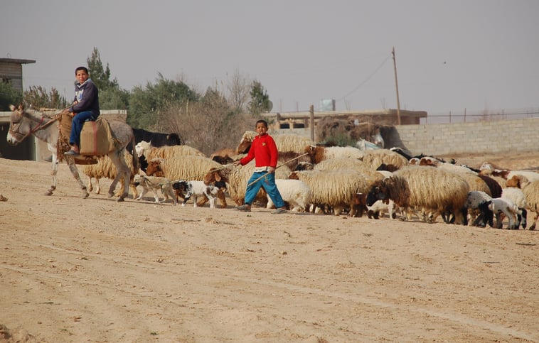 Listenwise - Syrian Refugees Jordan.jpg