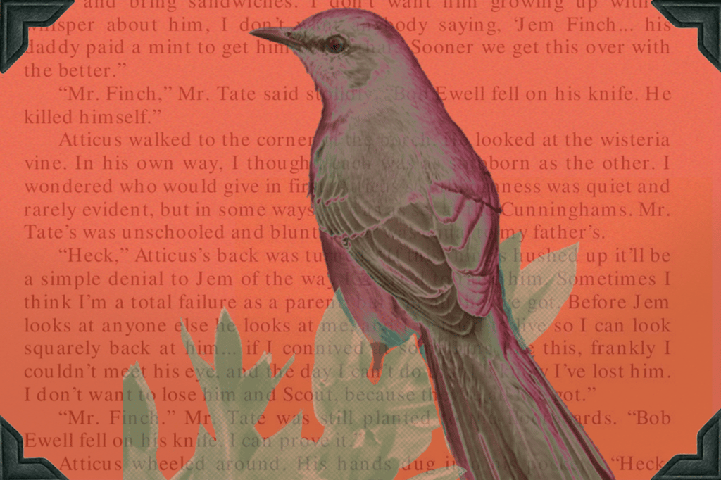 Mockingbird transgender LGBTQ History Month