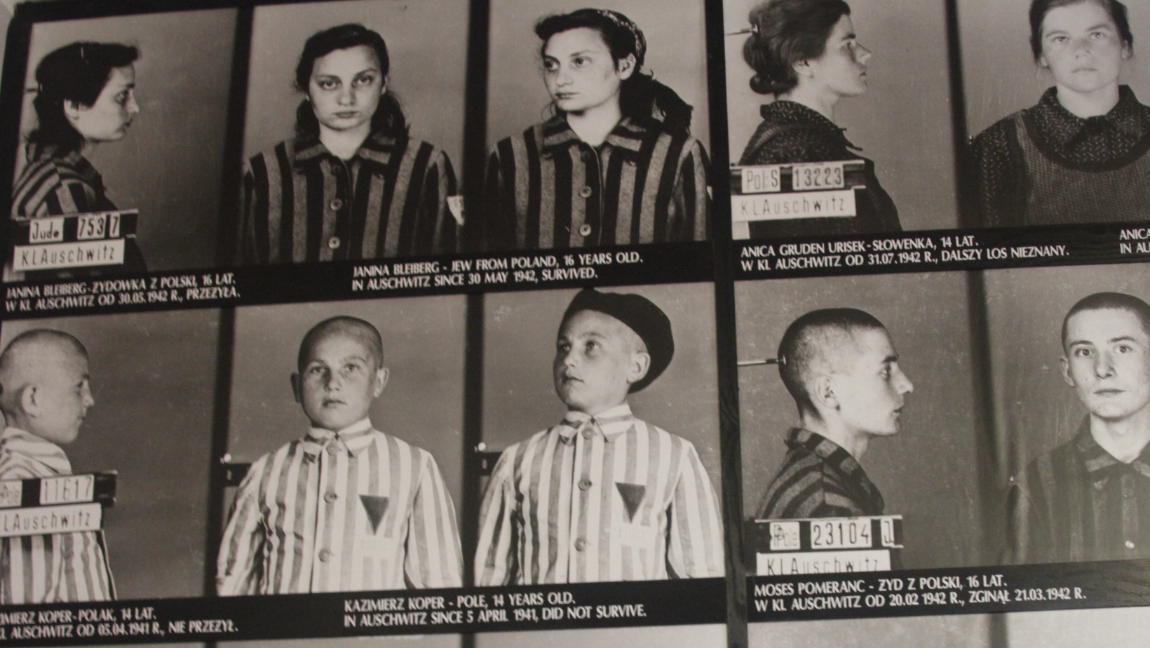 Photos of Holocaust Victims in Auschwitz
