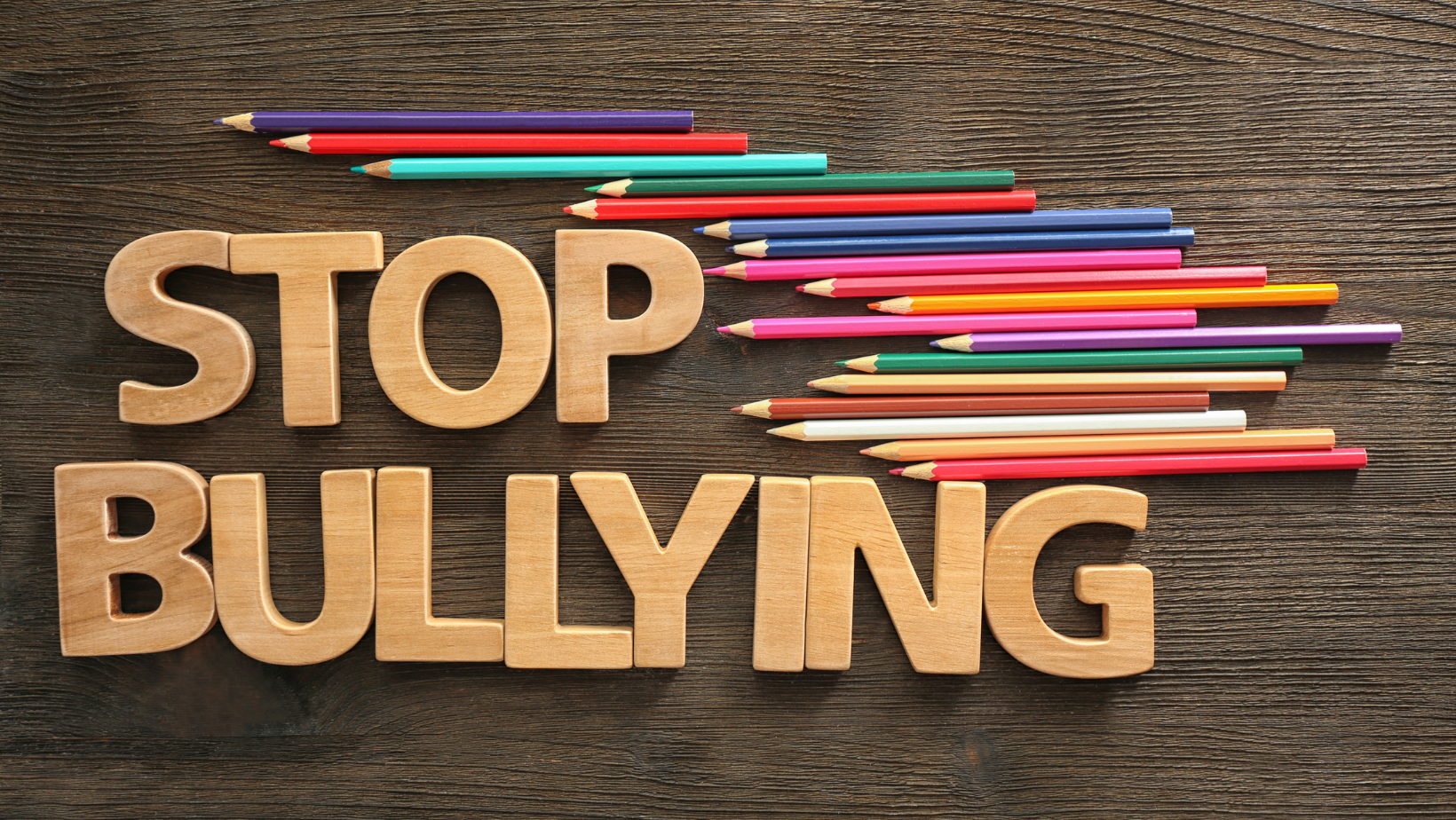 New Webinar on Preventing and Combating Bias-Based Bullying and